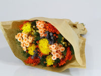 Italian Job BOUQUET DRIED EX - FANTASY ORANGE