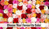150 Roses